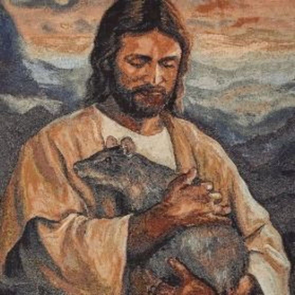 Meet your Posher, Vincent